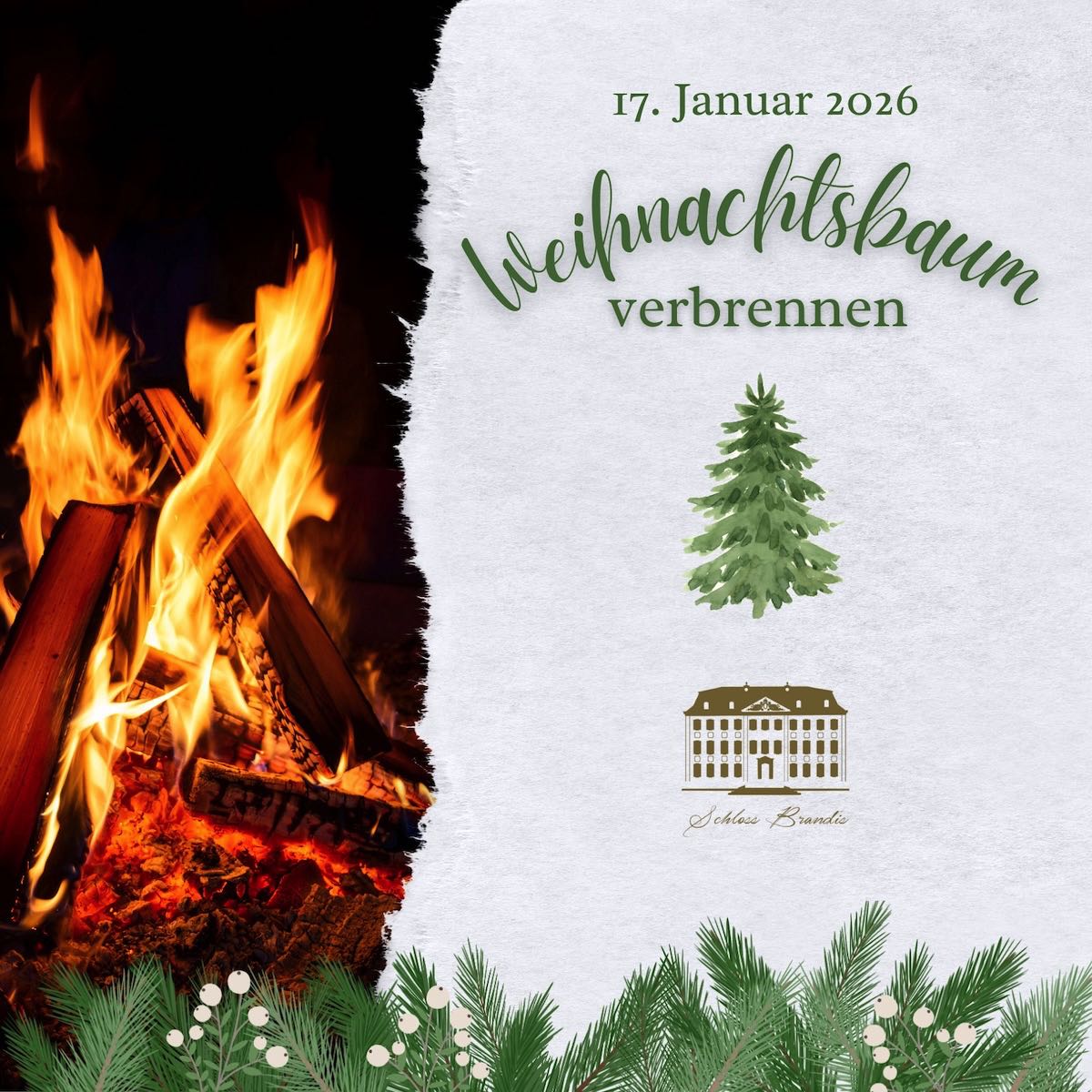 Weihnachtsbaum-verbrennen